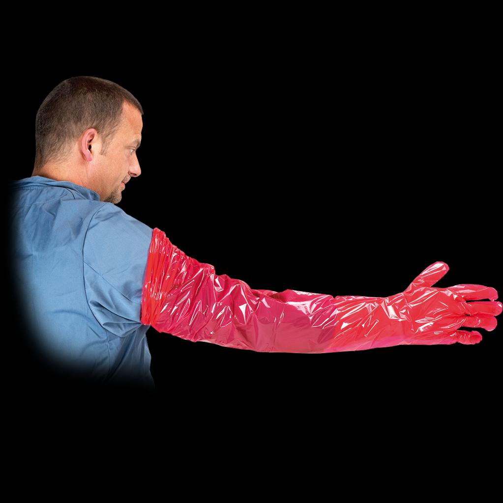 Veterinarinės vienkartinės pirštinės RVET (100 vnt.), raudonos spalvos