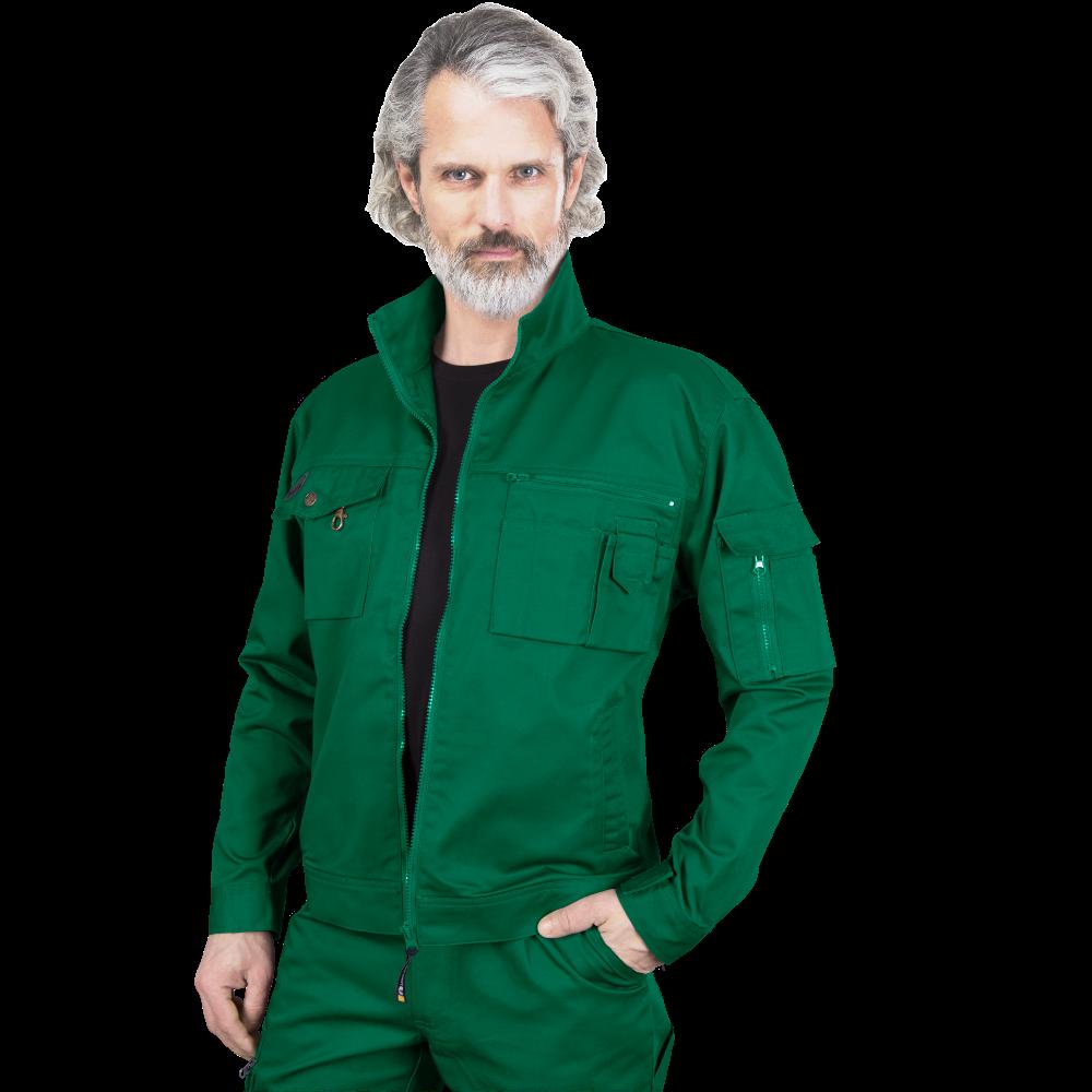 Švarkas WILTER GREEN