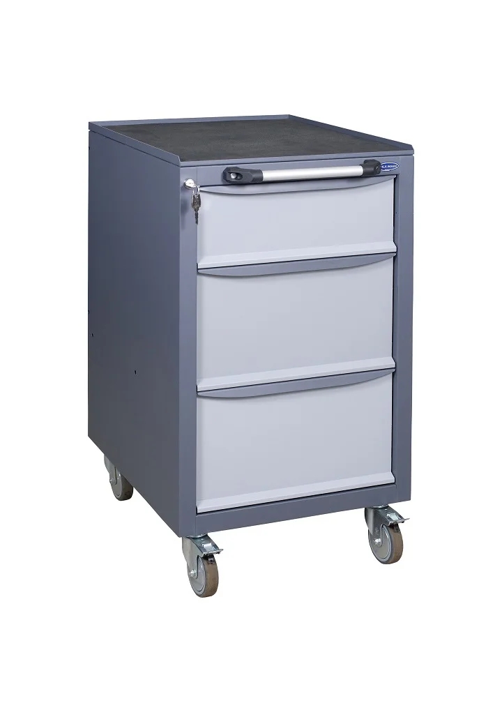 Įrankių spintelė su ratukais 900x500x600